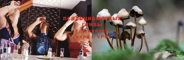 каннабис Баксан